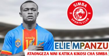 Dili la Mpanzu na Simba lafikia Hatua Mpya