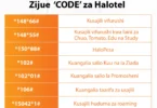 Hizi Hapa Code za Haloteli