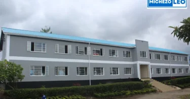 Shule Bora za Advanced za Serikali Tanzania