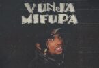 Dogo Janja – Vunja Mifupa Download