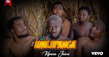 Kipara Jaiva – Umejipanga Mp3 Download