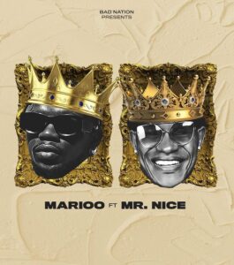 Marioo Ft Mr Nice – Shisha Mp3 Download