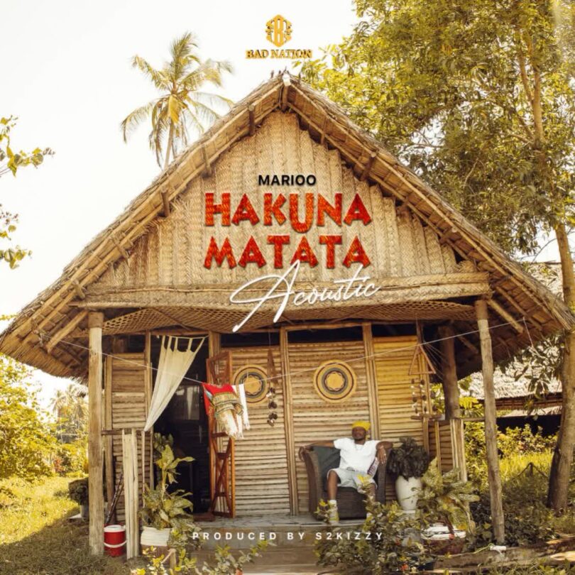 Acoustic: Marioo – Hakuna Matata Mp3 Download