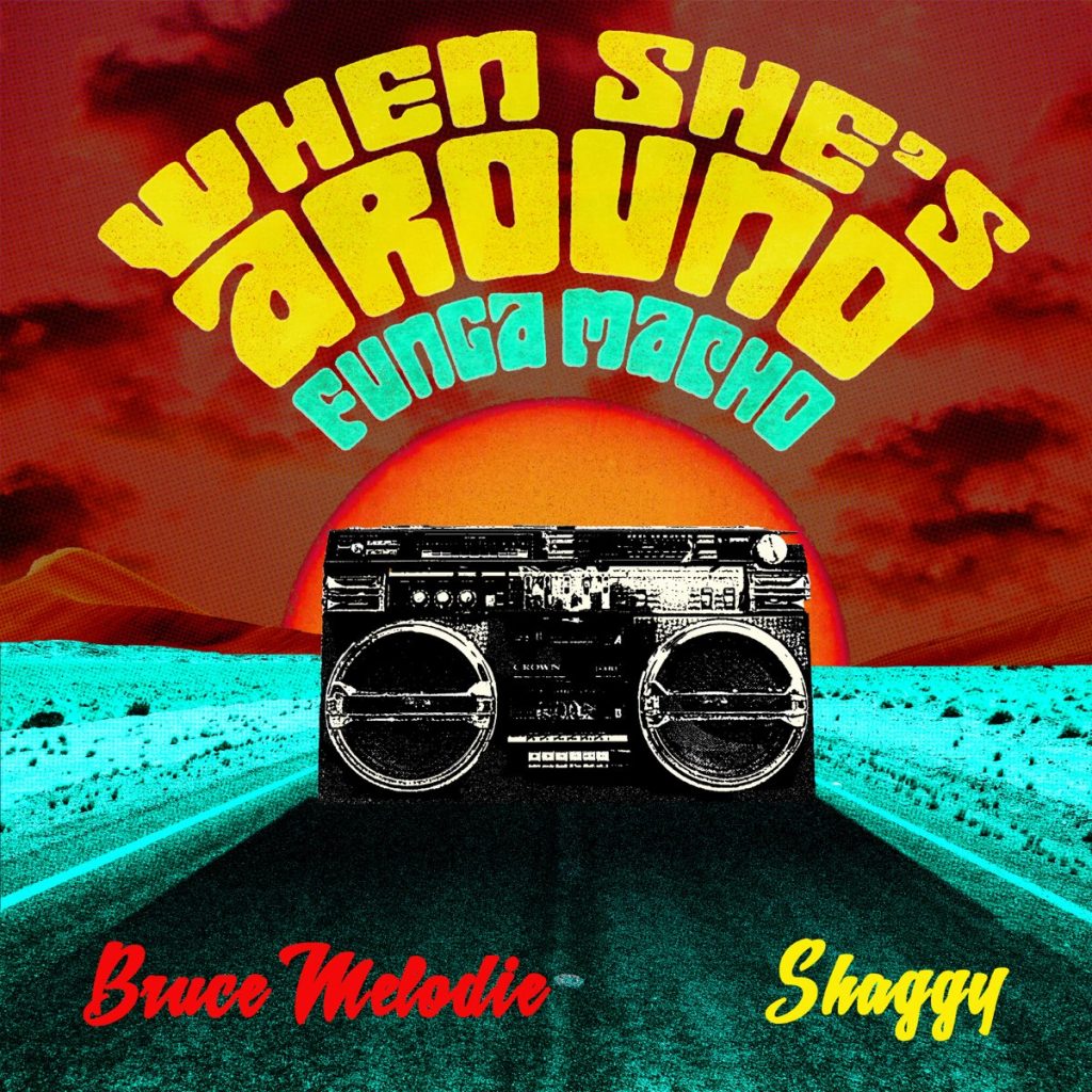 Audio: Bruce Melodie Ft Shaggy – When She’s Around (Funga Macho) | Mp3 Download