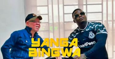 AUDIO: Harmonize – Yanga Bingwa | Mp3 Download