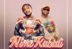 Download AUDIO: B2K Ft Dayoo – Nimekubali Mp3