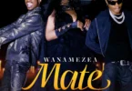 Download AUDIO: Lulu Diva – Wanamezea Mate Ft Mabantu Mp3