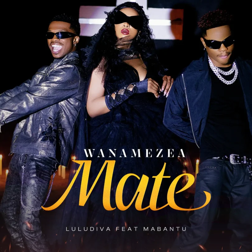 Download AUDIO: Lulu Diva – Wanamezea Mate Ft Mabantu Mp3