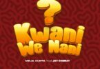 Download AUDIO: Meja Kunta Ft Jay Combat – Kwani We Nani? Mp3