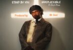 Download AUDIO: Spyro – Irreplaceable Ft Styl-Plus Mp3