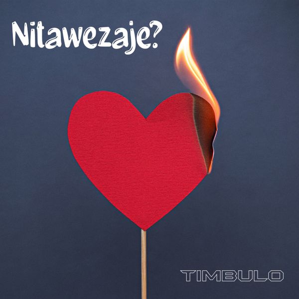 Download AUDIO: Timbulo – Nitawezaje Mp3