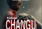 Download AUDIO: Wyse TZ – Kidogo Changu Mp3