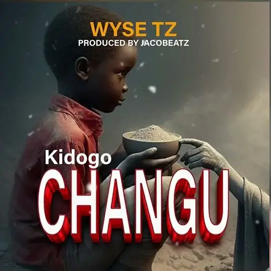 Download AUDIO: Wyse TZ – Kidogo Changu Mp3