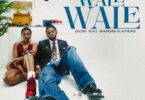 Download AUDIO: Zuchu – Wale Wale Ft Diamond Platnumz Mp3