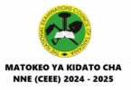 NECTA: Matokeo Kidato Cha Nne 2024/2025 Form Four Results