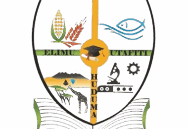 Nafasi 19 Za Kazi Mjnuat University
